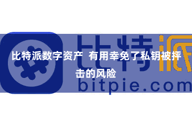 比特派数字资产 有用幸免了私钥被抨击的风险