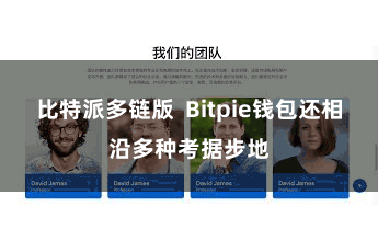 比特派多链版 Bitpie钱包还相沿多种考据步地