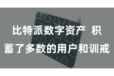 比特派数字资产 积蓄了多数的用户和训戒