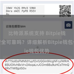 比特派系统支持 Bitpie钱包安全可靠吗？详细解析Bitpie钱包优势