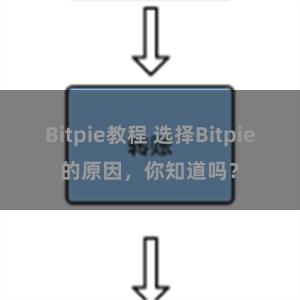 Bitpie教程 选择Bitpie的原因，你知道吗？