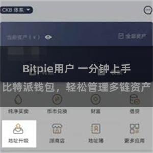 Bitpie用户 一分钟上手比特派钱包，轻松管理多链资产