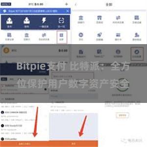 Bitpie支付 比特派：全方位保护用户数字资产安全