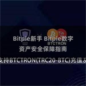 Bitpie新手 Bitpie数字资产安全保障指南