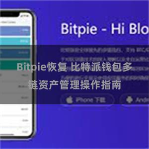 Bitpie恢复 比特派钱包多链资产管理操作指南