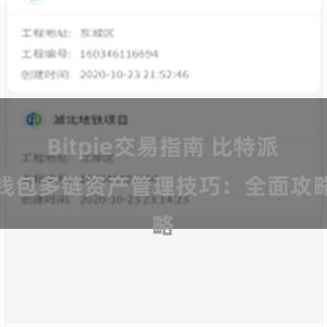 Bitpie交易指南 比特派钱包多链资产管理技巧：全面攻略