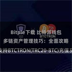 Bitpie下载 比特派钱包多链资产管理技巧：全面攻略