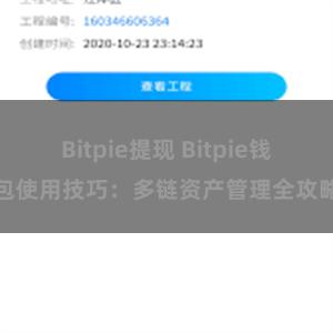 Bitpie提现 Bitpie钱包使用技巧：多链资产管理全攻略