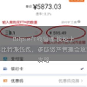 Bitpie在线管理 快速上手比特派钱包，多链资产管理全攻略