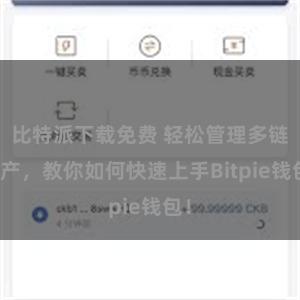 比特派下载免费 轻松管理多链资产，教你如何快速上手Bitpie钱包！