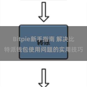 Bitpie新手指南 解决比特派钱包使用问题的实用技巧