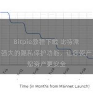 Bitpie教程下载 比特派钱包：强大的隐私保护功能，让您资产更安全