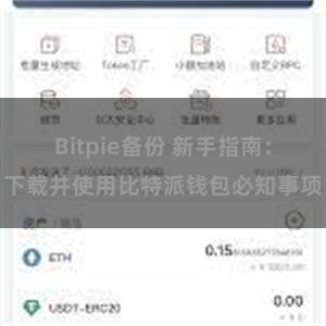 Bitpie备份 新手指南：下载并使用比特派钱包必知事项