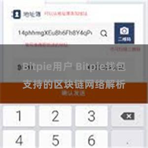 Bitpie用户 Bitpie钱包支持的区块链网络解析