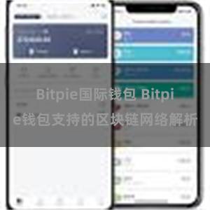 Bitpie国际钱包 Bitpie钱包支持的区块链网络解析