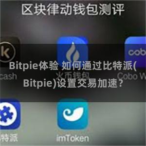 Bitpie体验 如何通过比特派(Bitpie)设置交易加速？