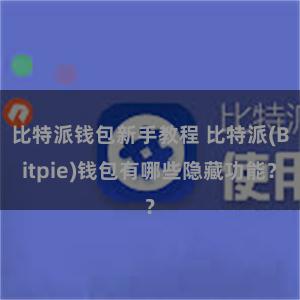 比特派钱包新手教程 比特派(Bitpie)钱包有哪些隐藏功能？