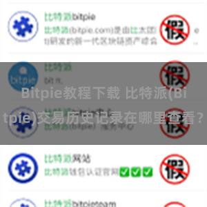 Bitpie教程下载 比特派(Bitpie)交易历史记录在哪里查看？