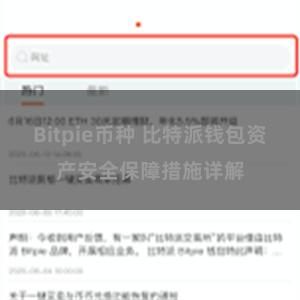 Bitpie币种 比特派钱包资产安全保障措施详解