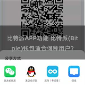 比特派APP功能 比特派(Bitpie)钱包适合何种用户？