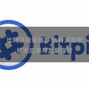 比特派钱包推荐 比特派加密技术应用与发展探讨