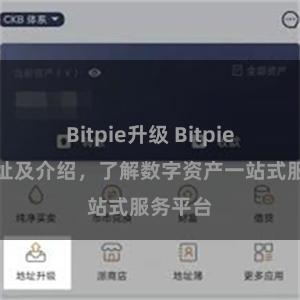 Bitpie升级 Bitpie官网地址及介绍，了解数字资产一站式服务平台