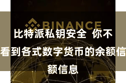 比特派私钥安全  你不错看到各式数字货币的余额信息