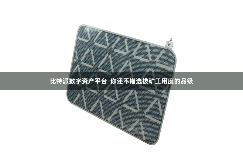比特派数字资产平台  你还不错选拔矿工用度的品级